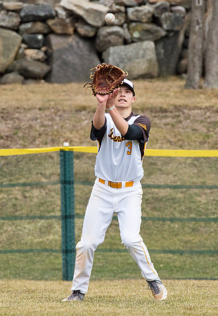 baseball_2015-03-30_dburns_4106