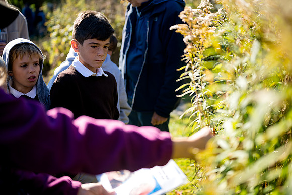 audubon_gr3_ah_0030