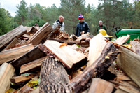 randolphvt1819_trip03_woodstack_bdf_0845
