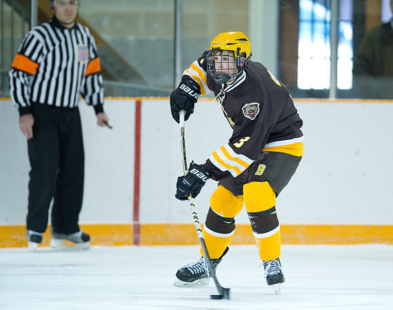 hockey_db_6206
