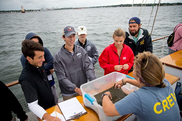 marinebio_soundwater_us_mkras_0102
