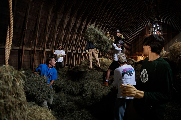 randolphvt1819_trip01_goatfarm_bdf_7345