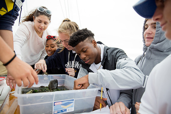 marinebio_soundwater_us_mkras_0085