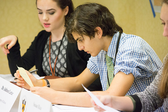 modelun15_princeton_mg_8051