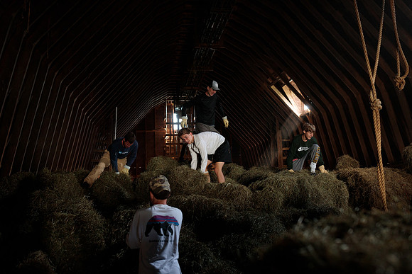 randolphvt1819_trip01_goatfarm_bdf_2352