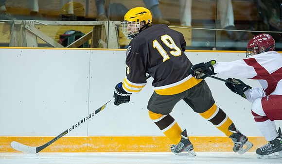 hockey_db_6112