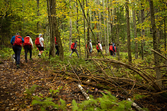 randolphvt2021_trip03_hike_bdf_1473