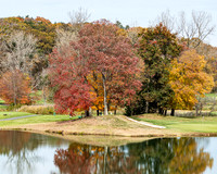 hc19_alumnigolf_dburns_b6824