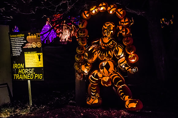 pumpkinblaze16_hp_9252