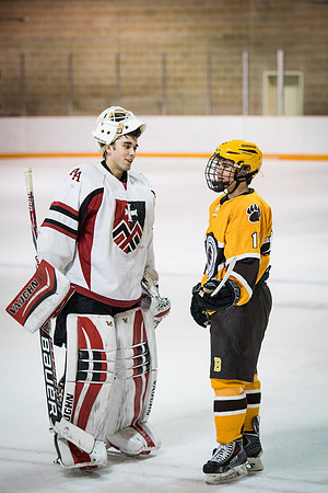 hockey_2016-02-17_wkl_8664