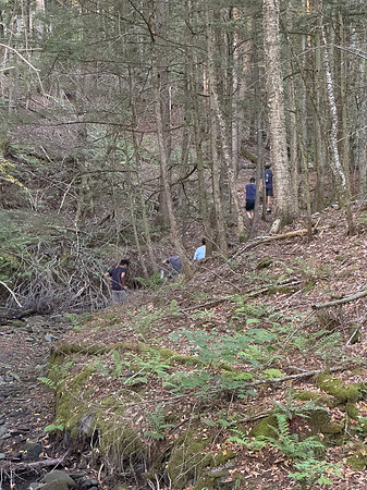 randolphvt2526_trip01-7025_lp_7256