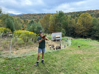randolphvt2526_trip01-7025_lp_9720