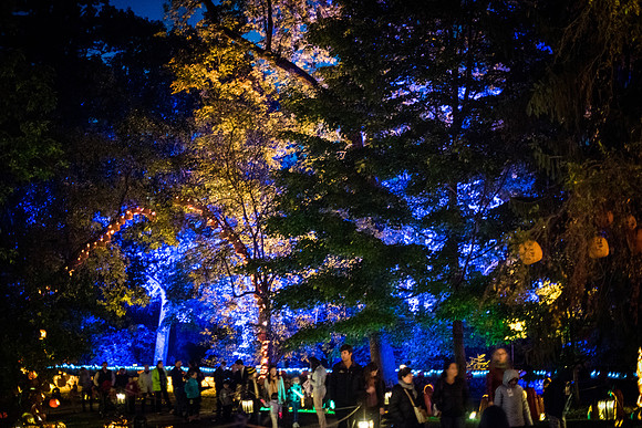 pumpkinblaze_wkl_3349