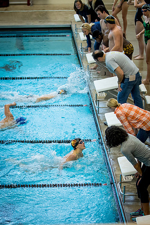 swimming_2016-12-14_jfess_5241