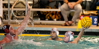 waterpolo_liquidfour19_gm2_dburns_1299