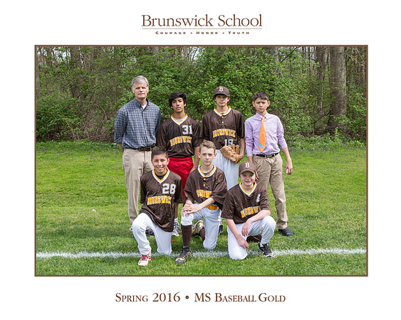 team_spring1516_baseball_msgold