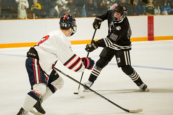 hockey_2026-01-09_ah_0240