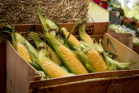 farmersmarket_jfess_5984