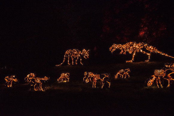 pumpkinblaze16_hp_9325