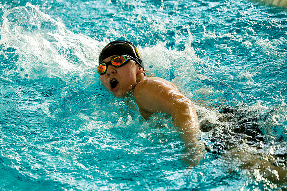 swimming_ms_2026-01-20_ah_0018
