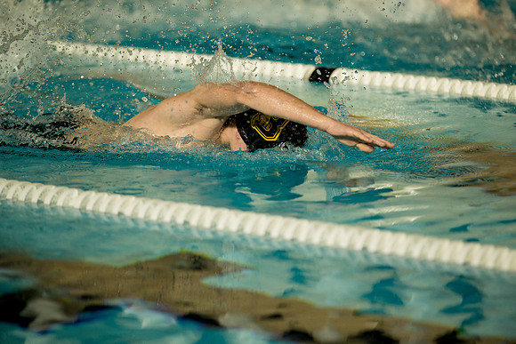 swimming_ms_2026-01-20_ah_0115