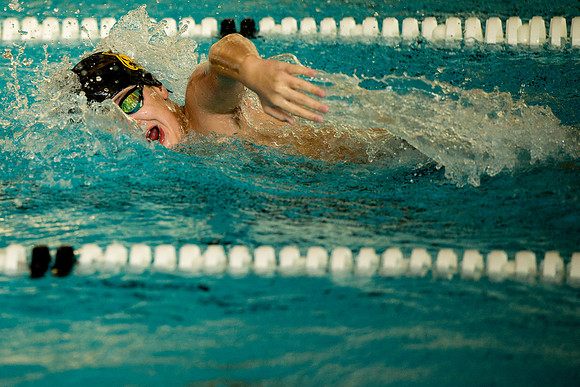 swimming_ms_2026-01-20_ah_0175