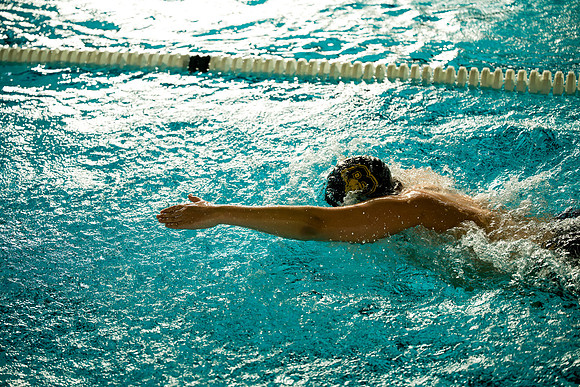 swimming_ms_2026-01-20_ah_0016