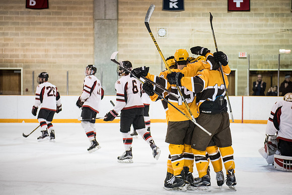 hockey_2016-02-17_wkl_8464