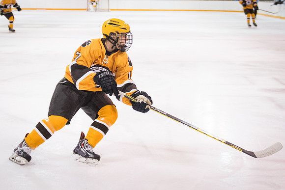 hockey_2016-02-17_wkl_8434