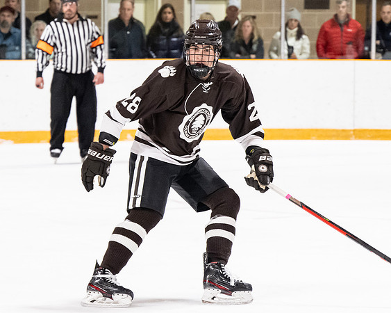 hockey_2022-12-01_dburns1_4328