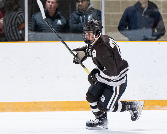 hockey_2022-12-01_dburns1_4421