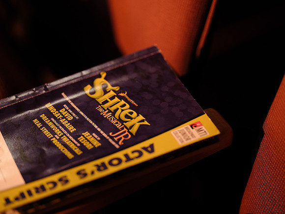 shrek_musicall22_thu_ms_mkras_0241