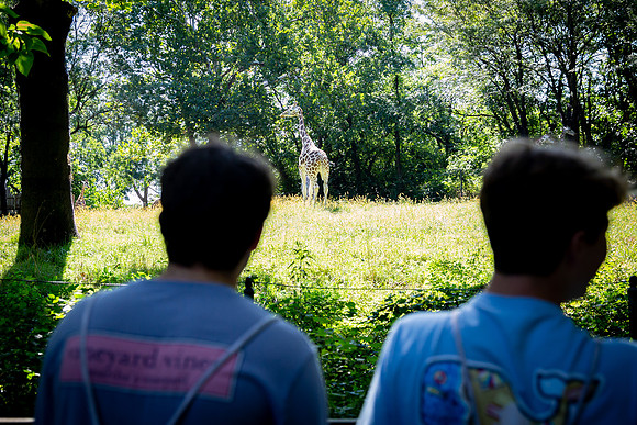 classtrip21_bronxzoo_gr9_jfess_0034