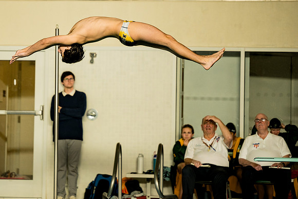 swimming_2026-01-31_ah_0123