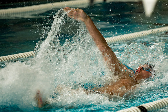 swimming_2026-02-07_ah_0058