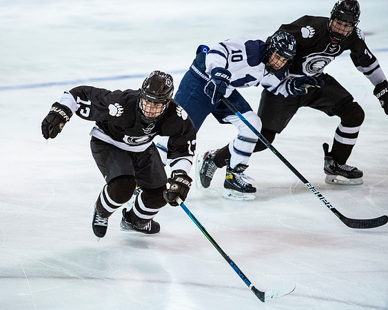hockey_2022-01-15_dburns1_3666