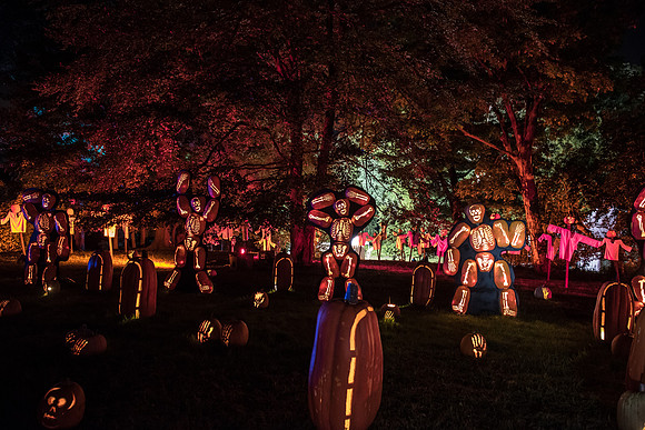 pumpkinblaze_hp_8417