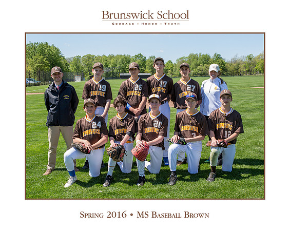 team_spring1516_baseball_msbrown