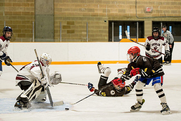 hockey_ms2_2025-01-29_ah_0116