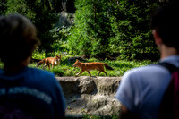 classtrip21_bronxzoo_gr9_jfess_9950