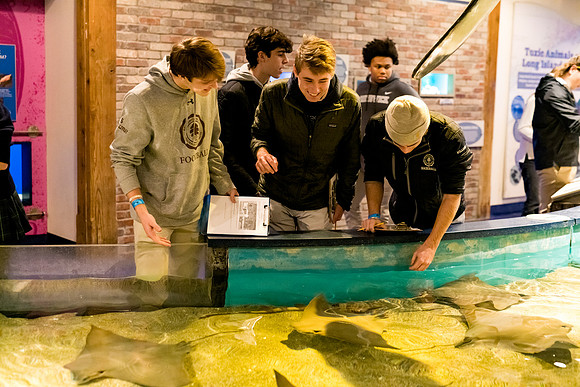 marinebio_aquarium_us_ah_0032