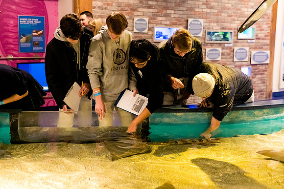 marinebio_aquarium_us_ah_0034