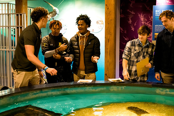 marinebio_aquarium_us_ah_0033