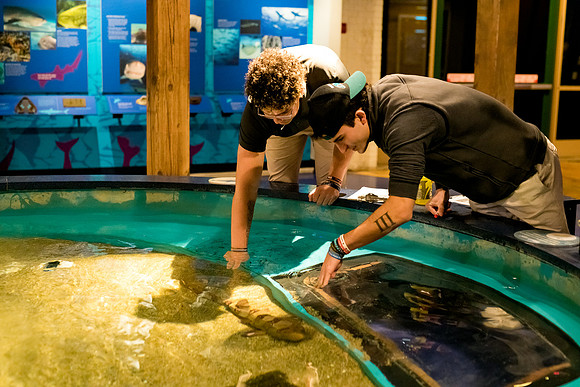 marinebio_aquarium_us_ah_0035