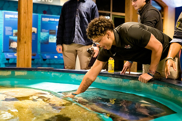 marinebio_aquarium_us_ah_0036