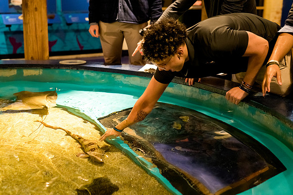 marinebio_aquarium_us_ah_0037
