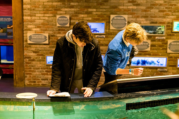 marinebio_aquarium_us_ah_0038