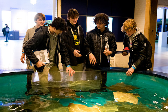 marinebio_aquarium_us_ah_0040