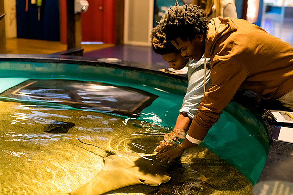 marinebio_aquarium_us_ah_0042