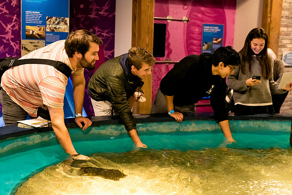 marinebio_aquarium_us_ah_0043